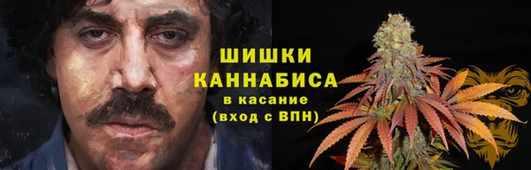 ГАЛЛЮЦИНОГЕННЫЕ ГРИБЫ Михайловка