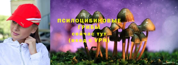 СК Михайловск